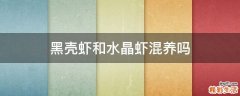 黑壳虾和水晶虾混养吗