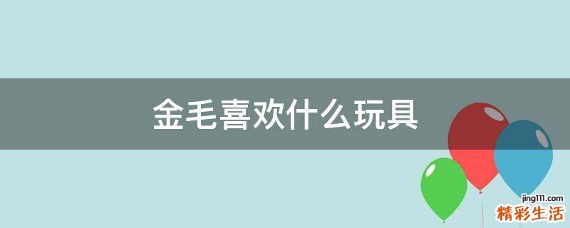 金毛喜欢什么玩具