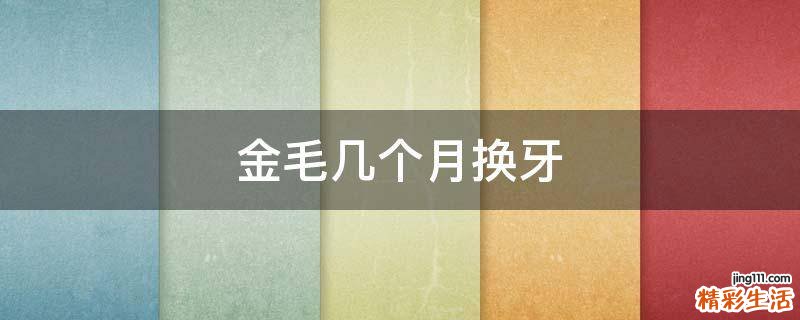 金毛几个月换牙