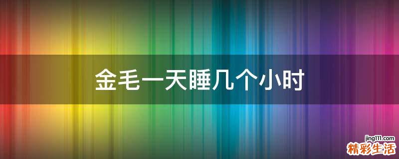 金毛一天睡几个小时