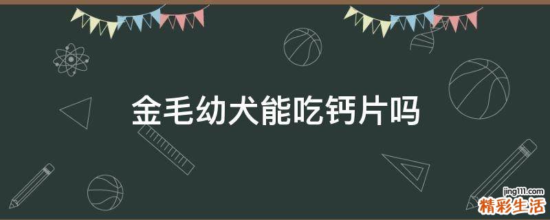 金毛幼犬能吃钙片吗