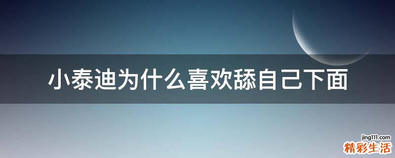小泰迪为什么喜欢舔自己下面