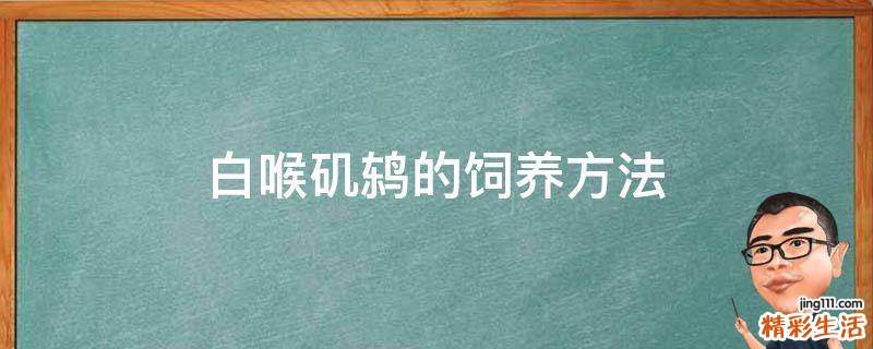 白喉矶鸫的饲养方法