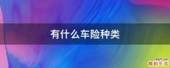 有什么车险种类