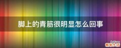脚上的青筋很明显怎么回事