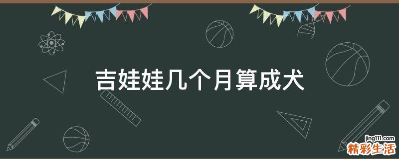 吉娃娃几个月算成犬