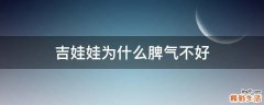 吉娃娃为什么脾气不好