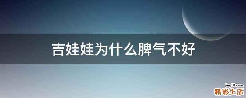 吉娃娃为什么脾气不好