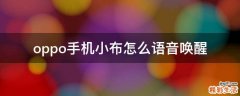 oppo手机小布怎么语音唤醒