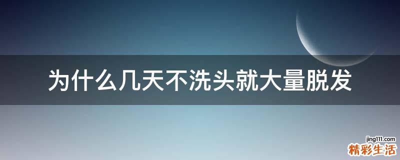 为什么几天不洗头就大量脱发