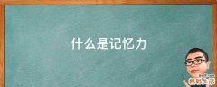 什么是记忆力