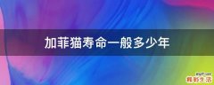 加菲猫寿命一般多少年
