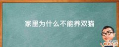 家里为什么不能养双猫