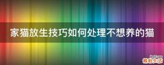 家猫放生技巧如何处理不想养的猫