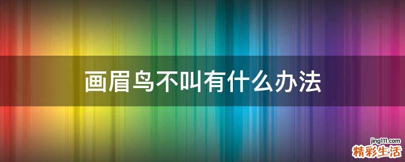 画眉鸟不叫有什么办法