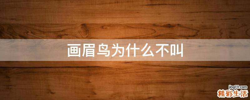 画眉鸟为什么不叫