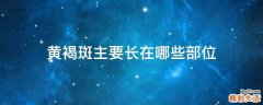 黄褐斑主要长在哪些部位