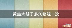 黄金大胡子多久繁殖一次