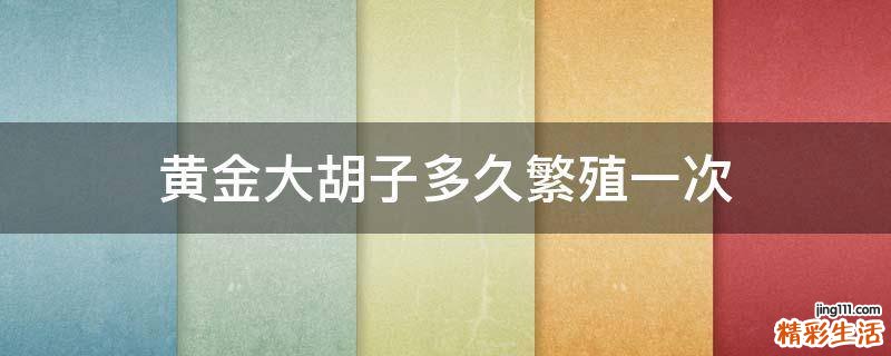 黄金大胡子多久繁殖一次