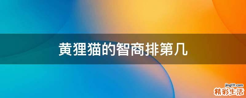 黄狸猫的智商排第几