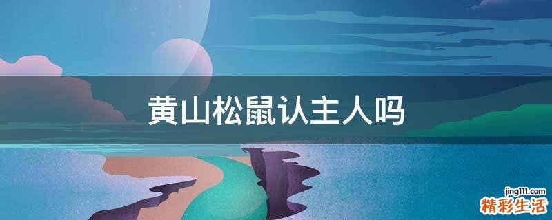 黄山松鼠认主人吗
