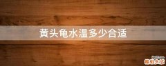 黄头龟水温多少合适