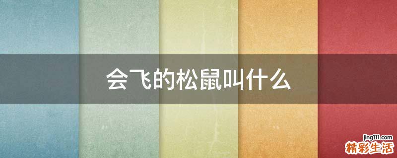 会飞的松鼠叫什么