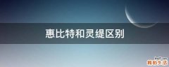 惠比特和灵缇区别