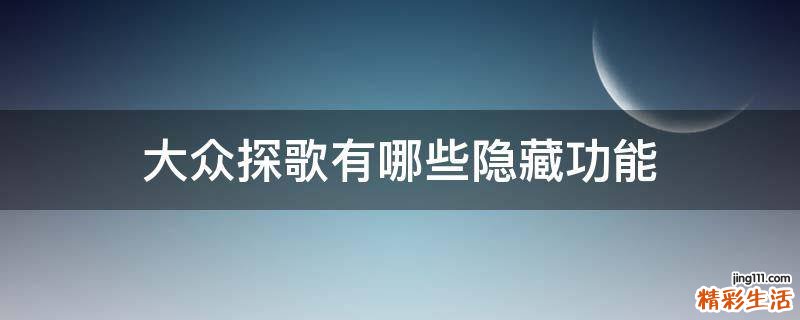 大众探歌有哪些隐藏功能