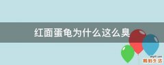 红面蛋龟为什么这么臭