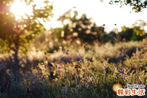 运动过度是抗癌“大忌”