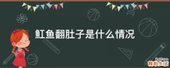 魟鱼翻肚子是什么情况