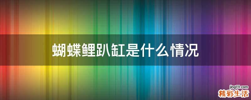 蝴蝶鲤趴缸是什么情况