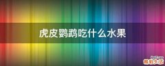虎皮鹦鹉吃什么水果
