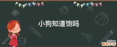 小狗知道饱吗