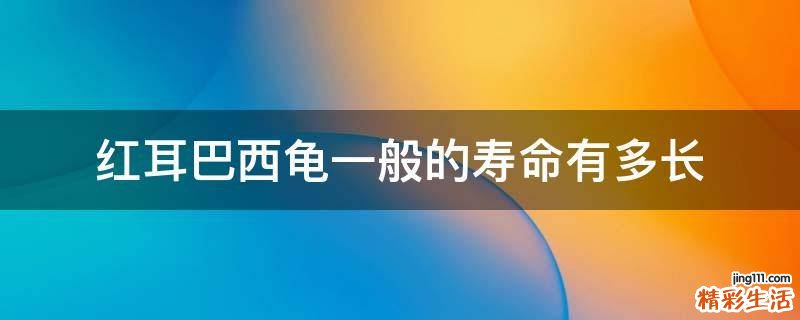 红耳巴西龟一般的寿命有多长