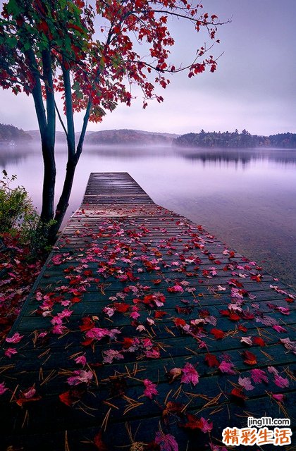 3 心理专家：压力太大易诱发猝死