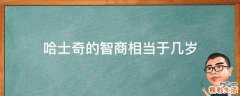 哈士奇的智商相当于几岁