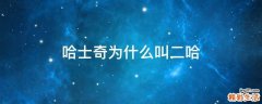 哈士奇为什么叫二哈
