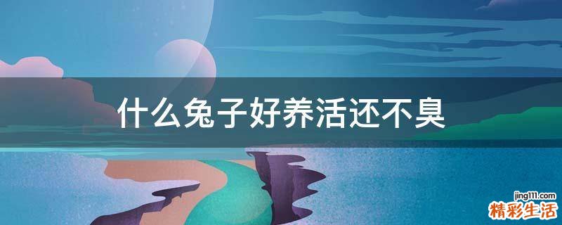 什么兔子好养活还不臭