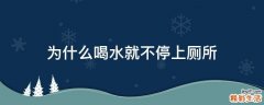 为什么喝水就不停上厕所
