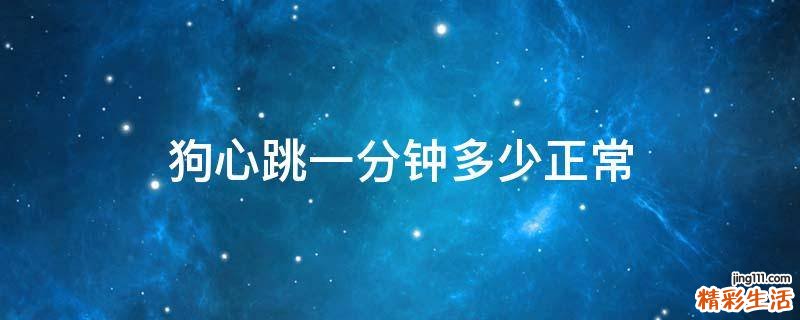 狗心跳一分钟多少正常