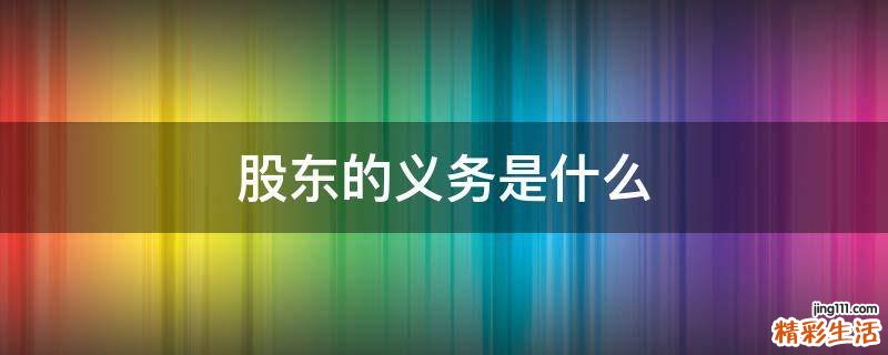 股东的义务是什么