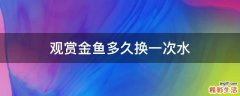 观赏金鱼多久换一次水