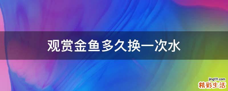 观赏金鱼多久换一次水