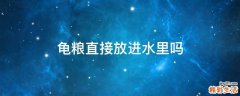 龟粮直接放进水里吗
