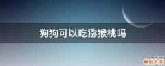 狗狗可以吃猕猴桃吗