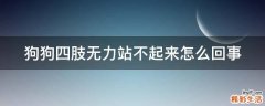 狗狗四肢无力站不起来怎么回事