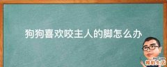 狗狗喜欢咬主人的脚怎么办