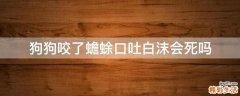 狗狗咬了蟾蜍口吐白沫会死吗